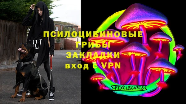 молекула духа Усинск